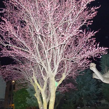 Pensión Vall D'aneu By Arcas & Sambola Esterri d'Àneu